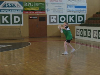 Obrázek 99224 