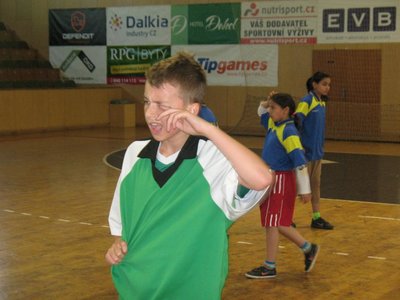 Obrázek 99230 