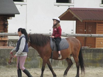Obrázek 99116 
