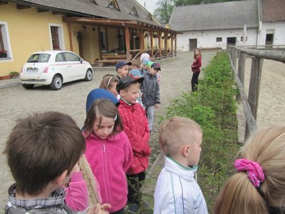 Obrázek 99117 