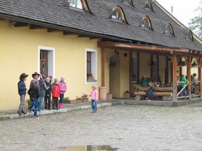 Obrázek 99133 