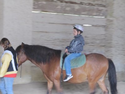 Obrázek 99136 