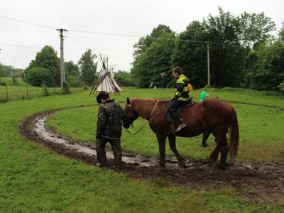 Obrázek 98863 