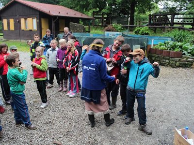 Obrázek 98868 