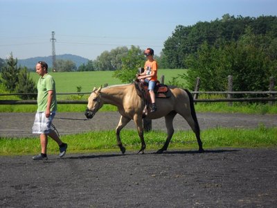 Obrázek 98588 