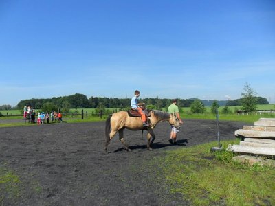 Obrázek 98595 
