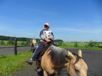 Obrázek 98600 