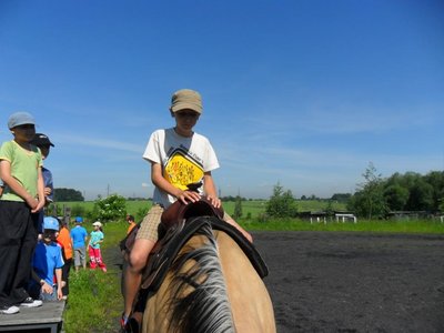 Obrázek 98602 
