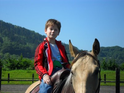 Obrázek 98613 