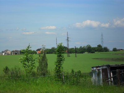 Obrázek 98659 