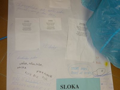 Obrázek 117022 