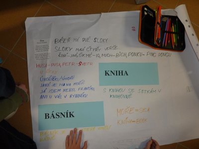 Obrázek 117025 