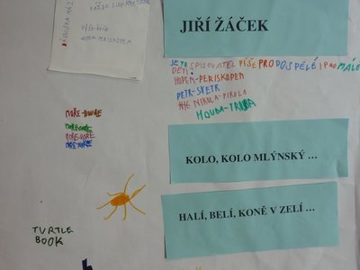 Obrázek 117026 