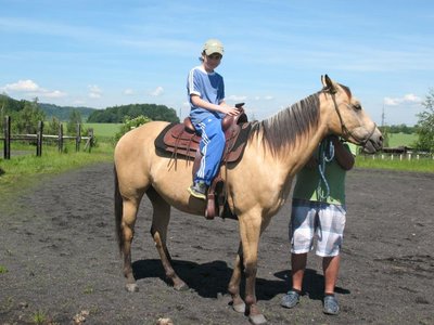 Obrázek 98446 