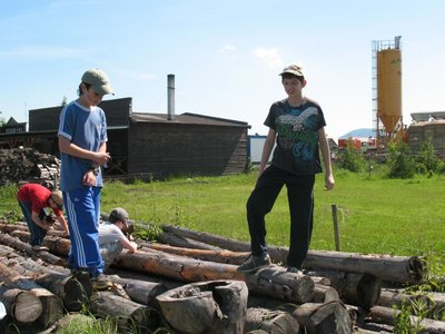 Obrázek 98449 