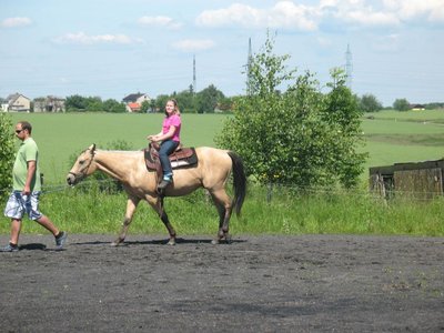 Obrázek 98464 