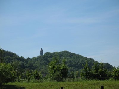 Obrázek 98468 