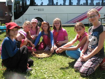 Obrázek 98523 