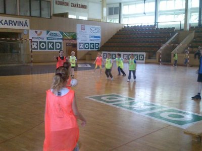 MINIHÁZENÁ