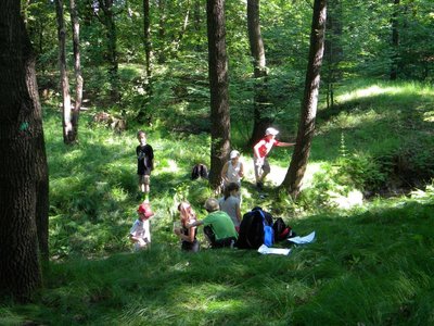 Obrázek 98320 