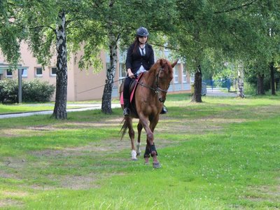 Obrázek 98274 