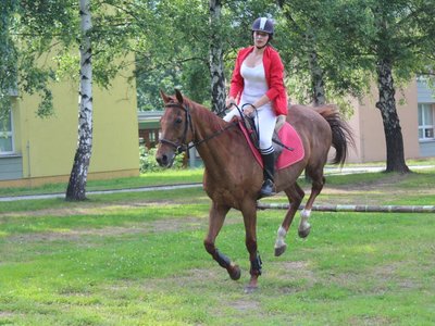 Obrázek 98279 