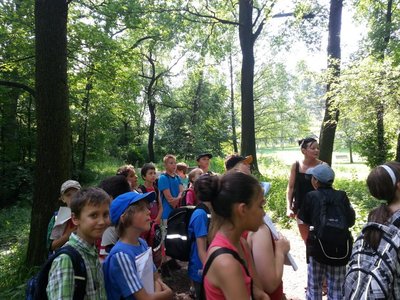 Obrázek 98238 