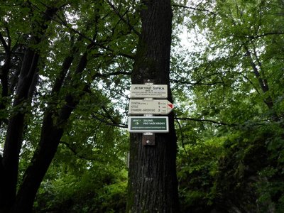Obrázek 98067 