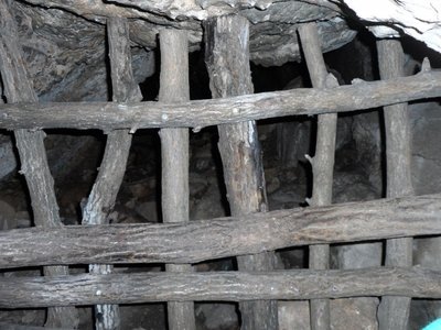Obrázek 98100 