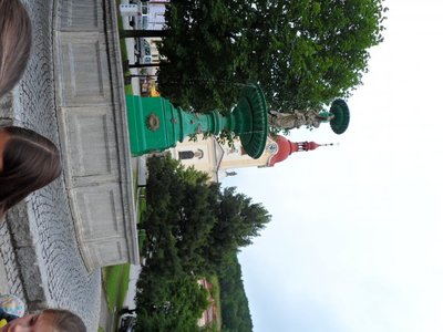 Obrázek 98106 