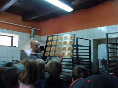 Obrázek 98122 
