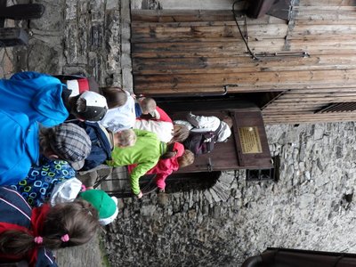 Obrázek 98132 