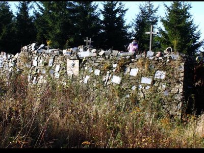 Obrázek 117089 