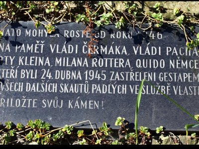 Obrázek 117090 