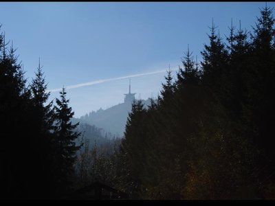 Obrázek 117093 