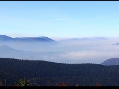 Obrázek 117097 