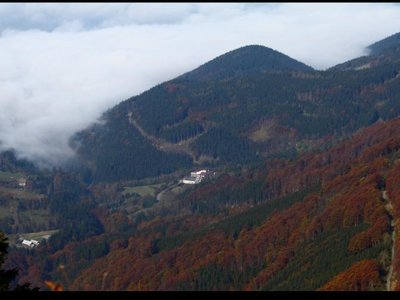 Obrázek 117099 