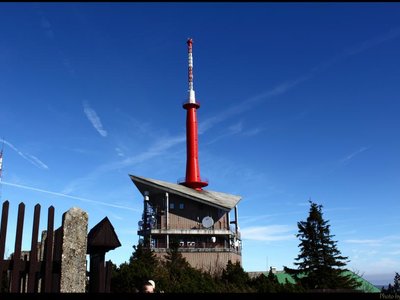 Obrázek 117102 