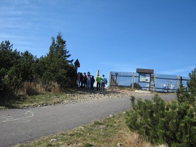 Obrázek 117041 
