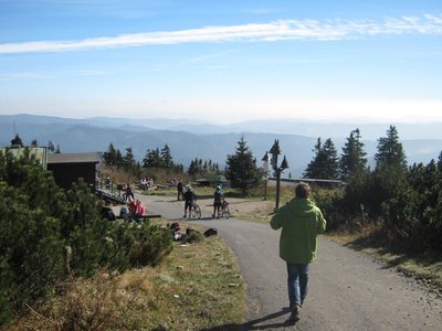 Obrázek 117047 