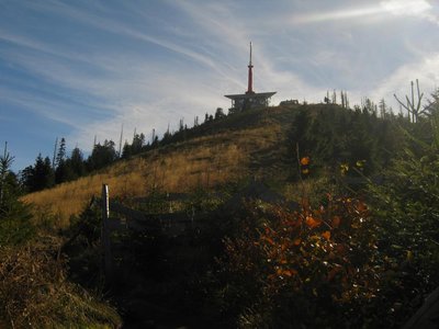 Obrázek 117054 