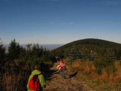 Obrázek 117055 