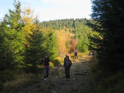 Obrázek 117057 