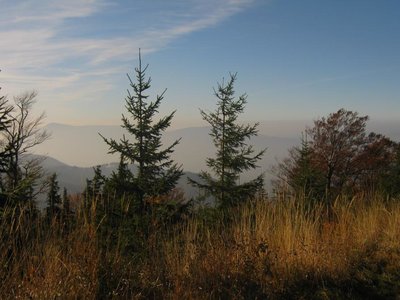 Obrázek 117061 