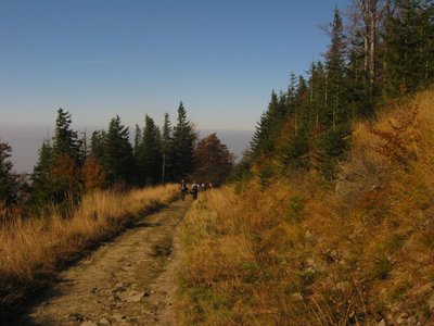 Obrázek 117062 