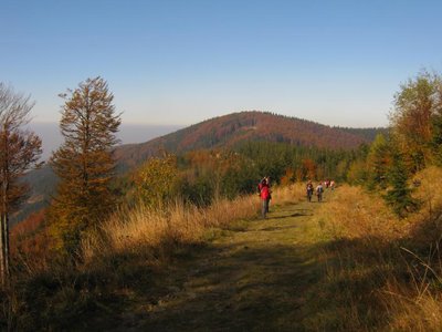 Obrázek 117063 