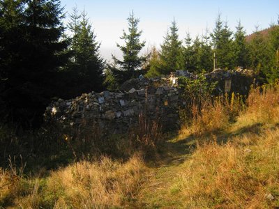 Obrázek 117065 