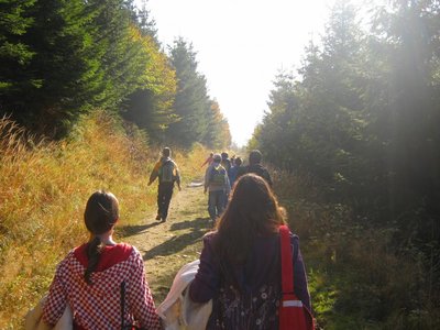 Obrázek 117066 