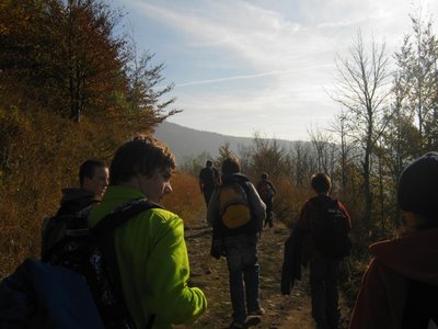 Obrázek 117067 