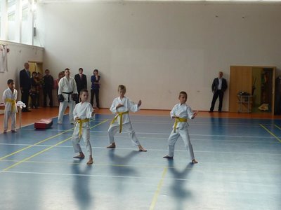 Obrázek 97223 